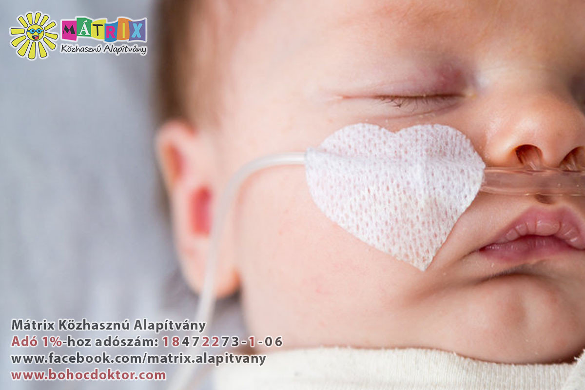 Adó 1% felajánlás